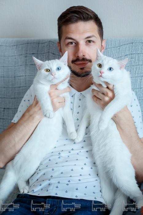 Cat twin found with dating app kcal la