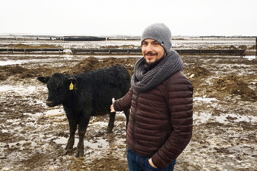 мираторг где выращивают мясо. Смотреть фото мираторг где выращивают мясо. Смотреть картинку мираторг где выращивают мясо. Картинка про мираторг где выращивают мясо. Фото мираторг где выращивают мясо