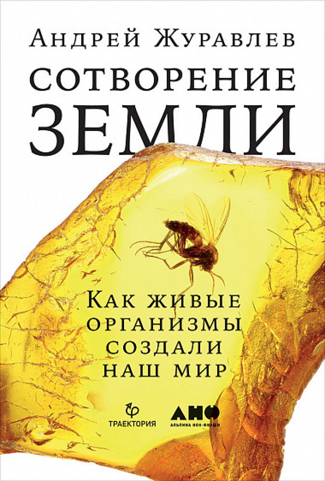 Что читать в отпуске женщине. Смотреть фото Что читать в отпуске женщине. Смотреть картинку Что читать в отпуске женщине. Картинка про Что читать в отпуске женщине. Фото Что читать в отпуске женщине