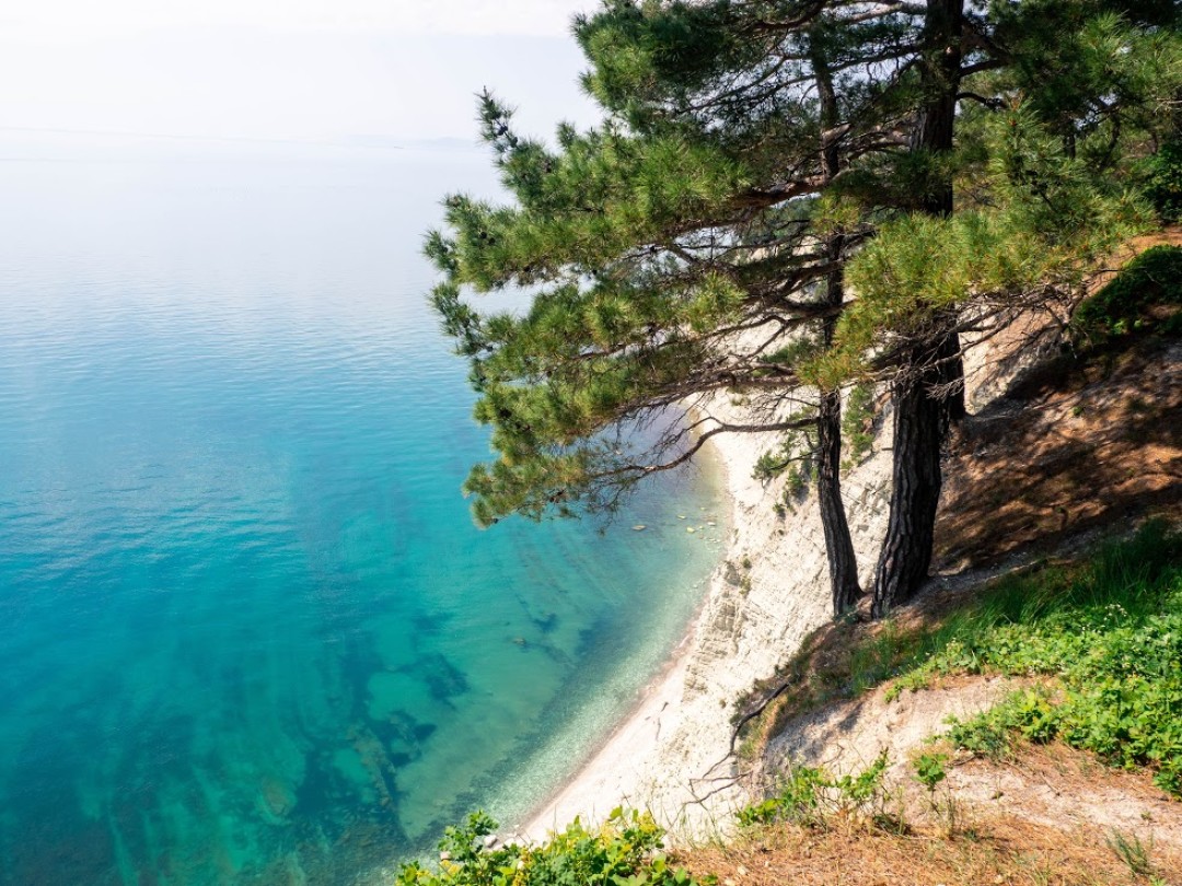 Геленджикский Район Фото