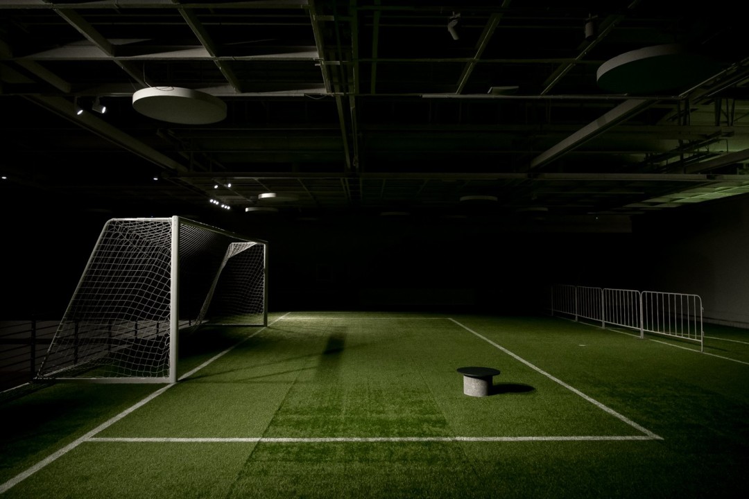 dejneka vs camohvalov gid sobaka ru