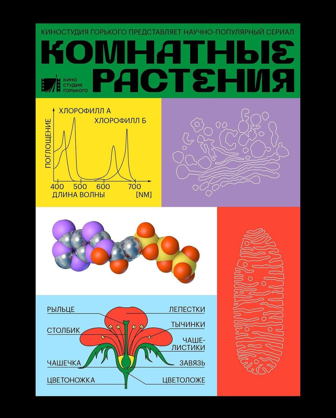 Биофак спбгу что сдавать. Смотреть фото Биофак спбгу что сдавать. Смотреть картинку Биофак спбгу что сдавать. Картинка про Биофак спбгу что сдавать. Фото Биофак спбгу что сдавать