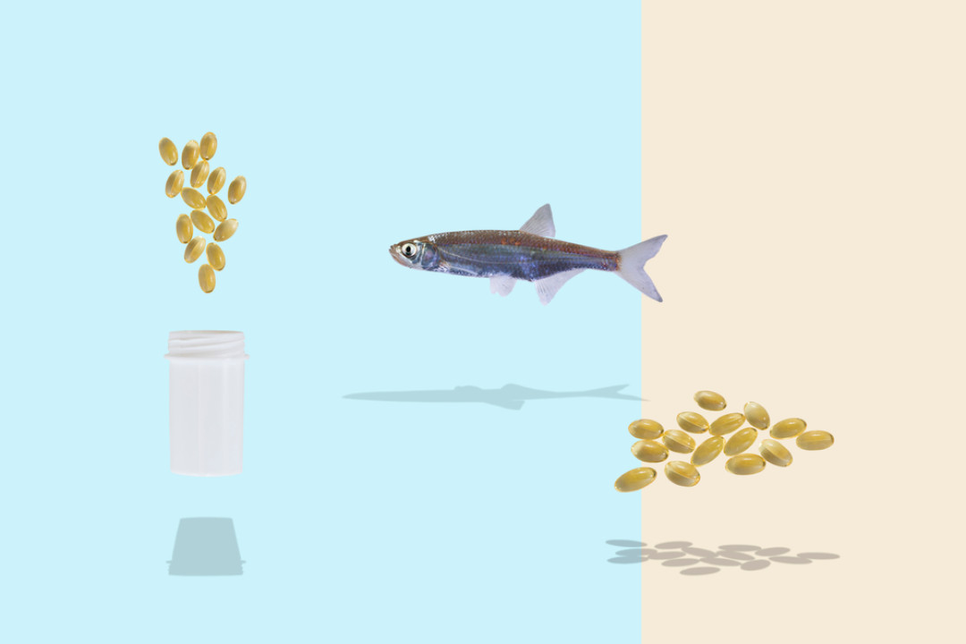 7 самых распространенных дефицитов витаминов и минералов в нашем организме