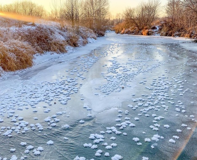 В Нижегородской области на реке появились «ледяные цветы»