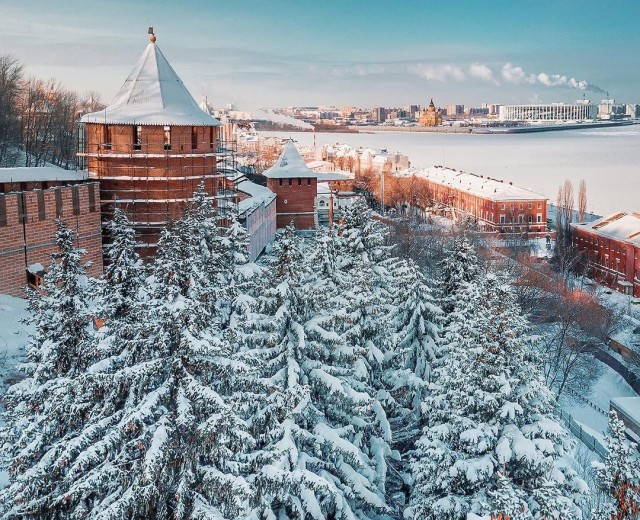 Стала известна причина вырубки деревьев в Нижегородском кремле 