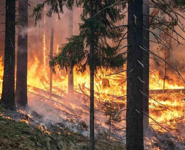 В Башкортостане загорелся природный парк, жители жалуются Радию Хабирову
