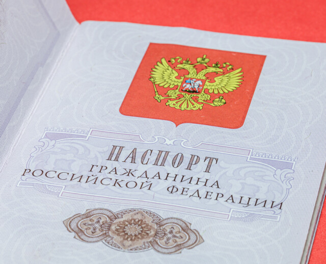 Новогодний Логотип Орт
