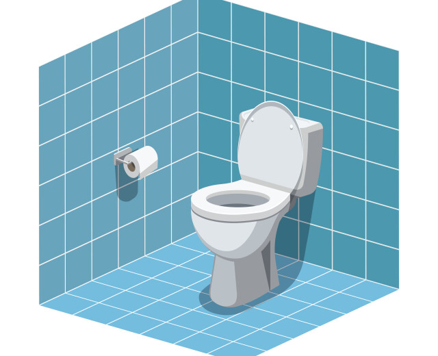 Две петербургские школы выиграли в конкурсе Domestos на самый худший туалет