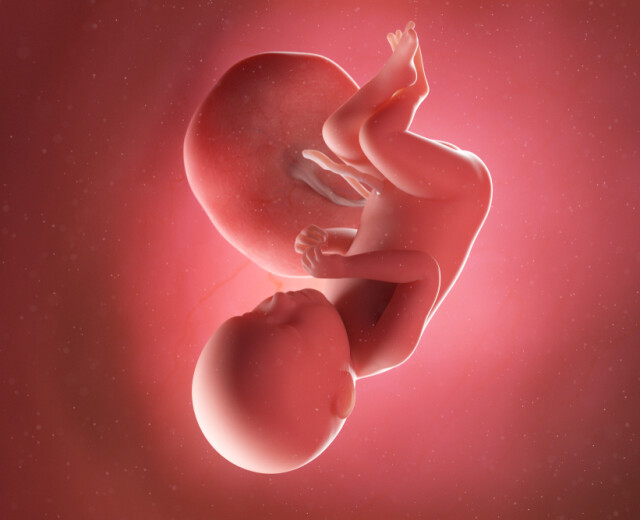 Беременность исцеляет или «добивает»? Можно ли родить в 56 лет? Рассказывает акушер-гинеколог 